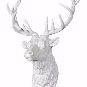 Windsor, White Stag Head